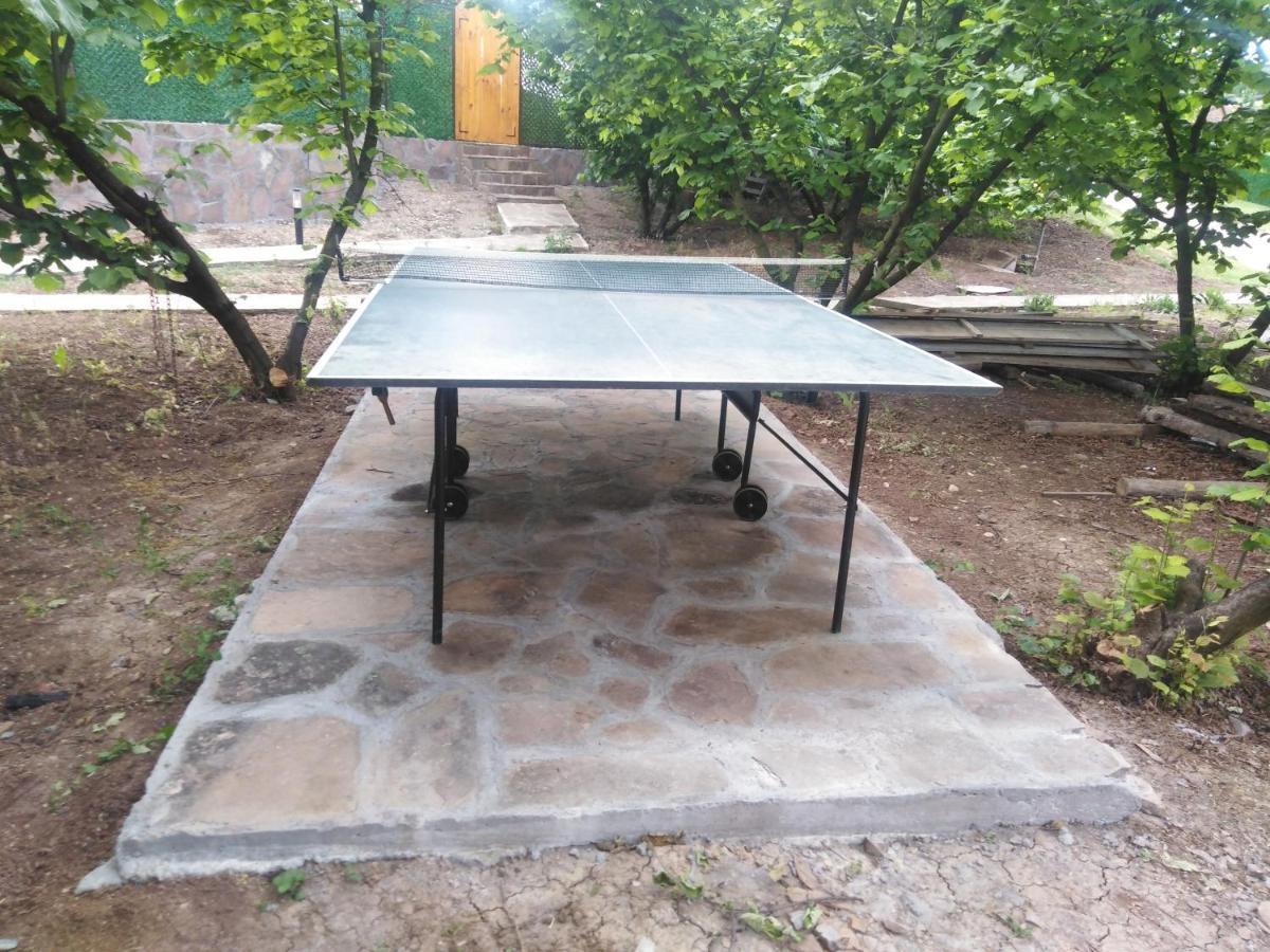 Vila Viktori Пирот Экстерьер фото